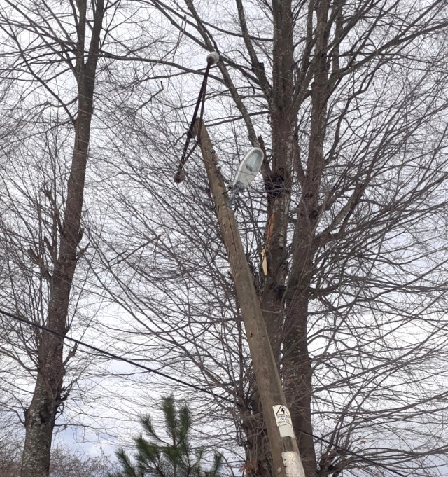 Kuvvetli Lodosta Sedaş’tan Kesintisiz Mücadele