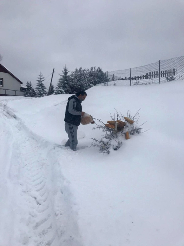 Yaban Hayvanları İçin Ormana 20 Kasa Hamsi Bıraktılar