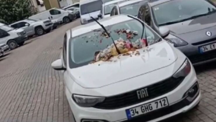 Güngören’de hatalı parka ‘çöp cezası’