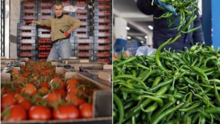 Tarım eserleri ihracatında domates ve biber birinci sırada