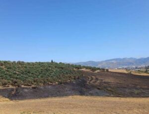 Dikmece köyünde 3 günde 2. yangın: Bu yaşananlar tesadüf değil