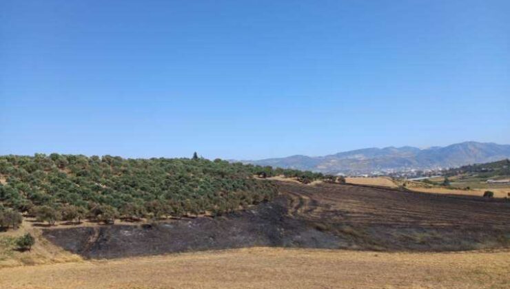 Dikmece köyünde 3 günde 2. yangın: Bu yaşananlar tesadüf değil