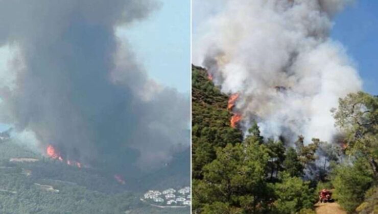 Kabus yine başladı: Marmaris ve Adana’da orman yangını