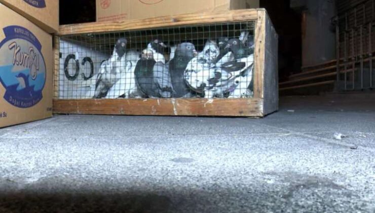 Kuş mezatı yapılan lokale silahlı taarruz: 1 meyyit, 5 yaralı