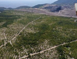 Koza’ya Giresun için onay… Tarım toprağında altın arayacaklar