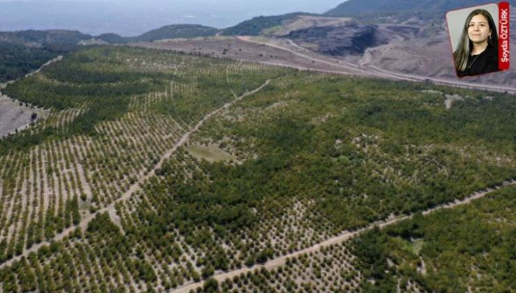 Koza’ya Giresun için onay… Tarım toprağında altın arayacaklar