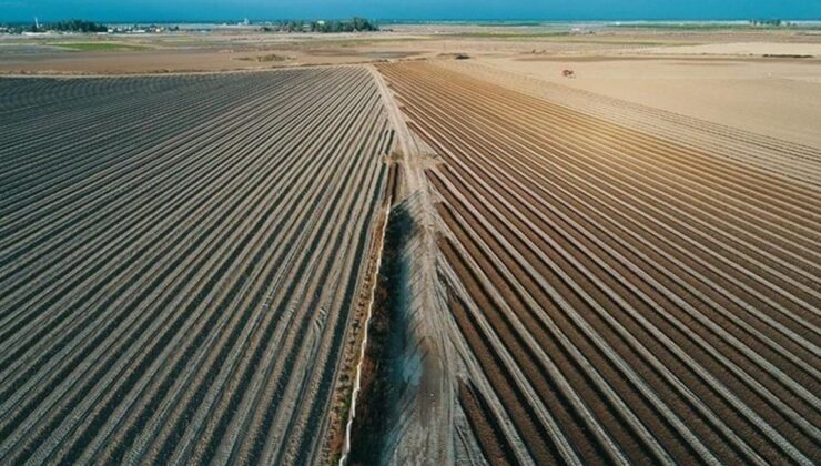 İşlenmeyen tarım topraklarının ziraî maksatlı kiraya verilmesine ait yönetmelik Resmi Gazete’de