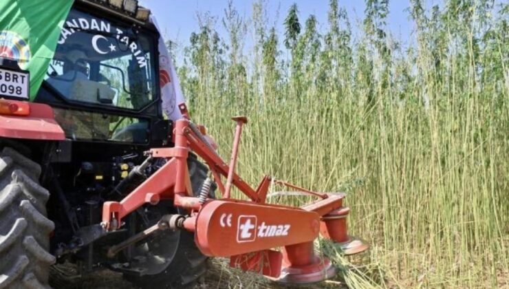 İzmir’de müsaadeli ve denetimli kenevir hasadı yapıldı