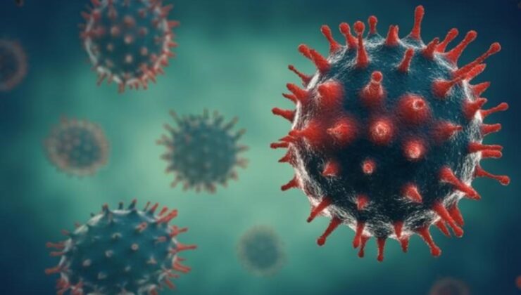 Son Dakika… Ankara’da maymun çiçeği karantinası