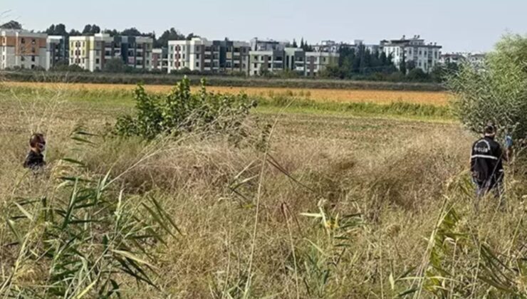 Adana’da müthiş olay… Sazlıkta parçalanmış ceset bulundu!