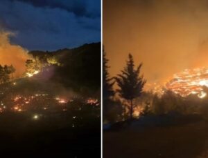 Dalaman’da orman yangını… Belediye liderinden ‘hava desteği’ çağrısı!