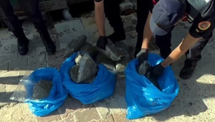 Kilolarca bonzai ele geçirildi… Sakarya’da ‘uyuşturucu’ operasyonu: 3 tutuklama