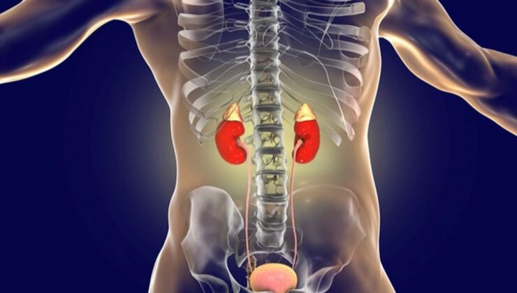 Adrenal kitleler: Sessiz tehlike hakkında bilinmesi gerekenler