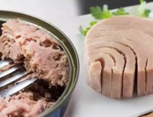 Konserve ton balığında zehirli cıva tespit edildi: ‘Eşi gibisi görülmemiş bir sıhhat skandalı’