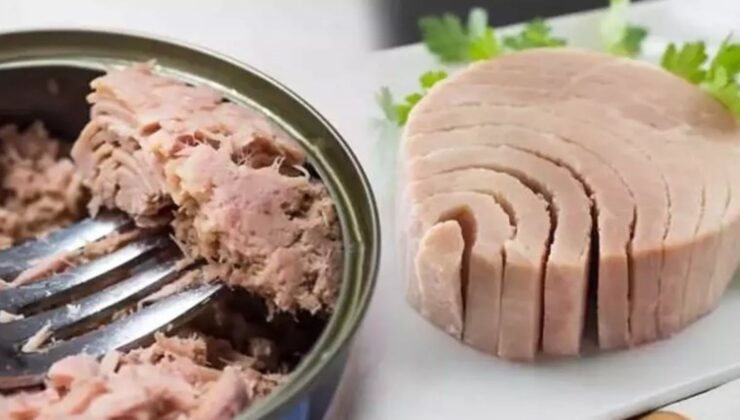 Konserve ton balığında zehirli cıva tespit edildi: ‘Eşi gibisi görülmemiş bir sıhhat skandalı’