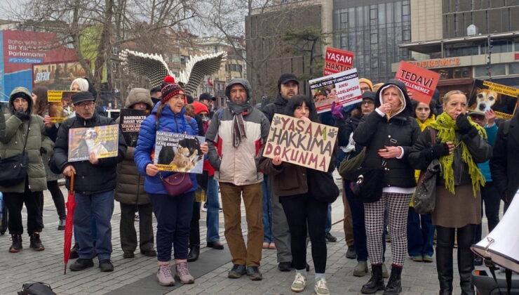 Beşiktaş’ta Necla teyze anması: Hayvan hakları savunucularından yasa reaksiyonu