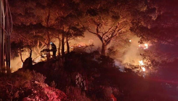 Bodrum’da ormanlık alanda yangın: 2 dönüm alan ziyan gördü