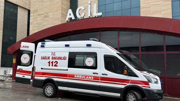 İstanbul’da, 123 bin 538 kişi kuduz riskiyle müracaat yaptı: ‘Son kuduz olayı 2007’de görüldü, tamamı önlem maksatlı aşılar’