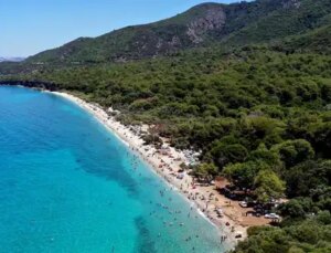 TMMOB’dan Ulusal Parklar teklifine reaksiyon: ‘Gelir odaklı yapılanmaya teslim edilemez’