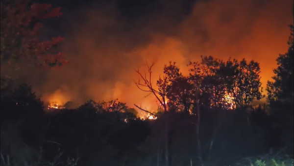 Rüzgarın tesiriyle alevler tekrar yükselmişti: Beykoz’da orman yangını denetim altına alındı