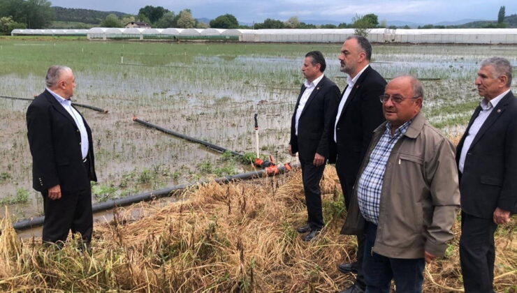 Amasya’da seralar sular altında kaldı: CHP’li vekiller bölgede inceleme yaptı