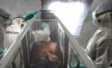 DSÖ, Ebola için global acil durum ilan etti
