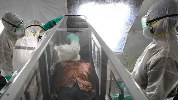 DSÖ, Ebola için global acil durum ilan etti