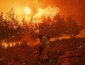 Bilim insanlarından korkutan bilanço: El Nino orman yangını riskini artırıyor